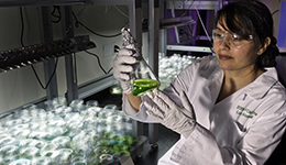 STEM stock image